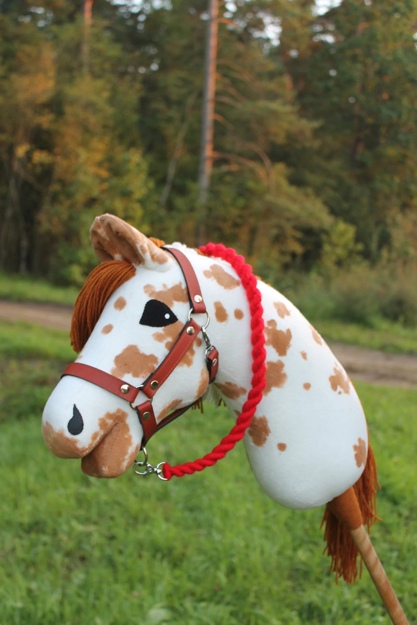 Hobby horse with halter A3 Corsica