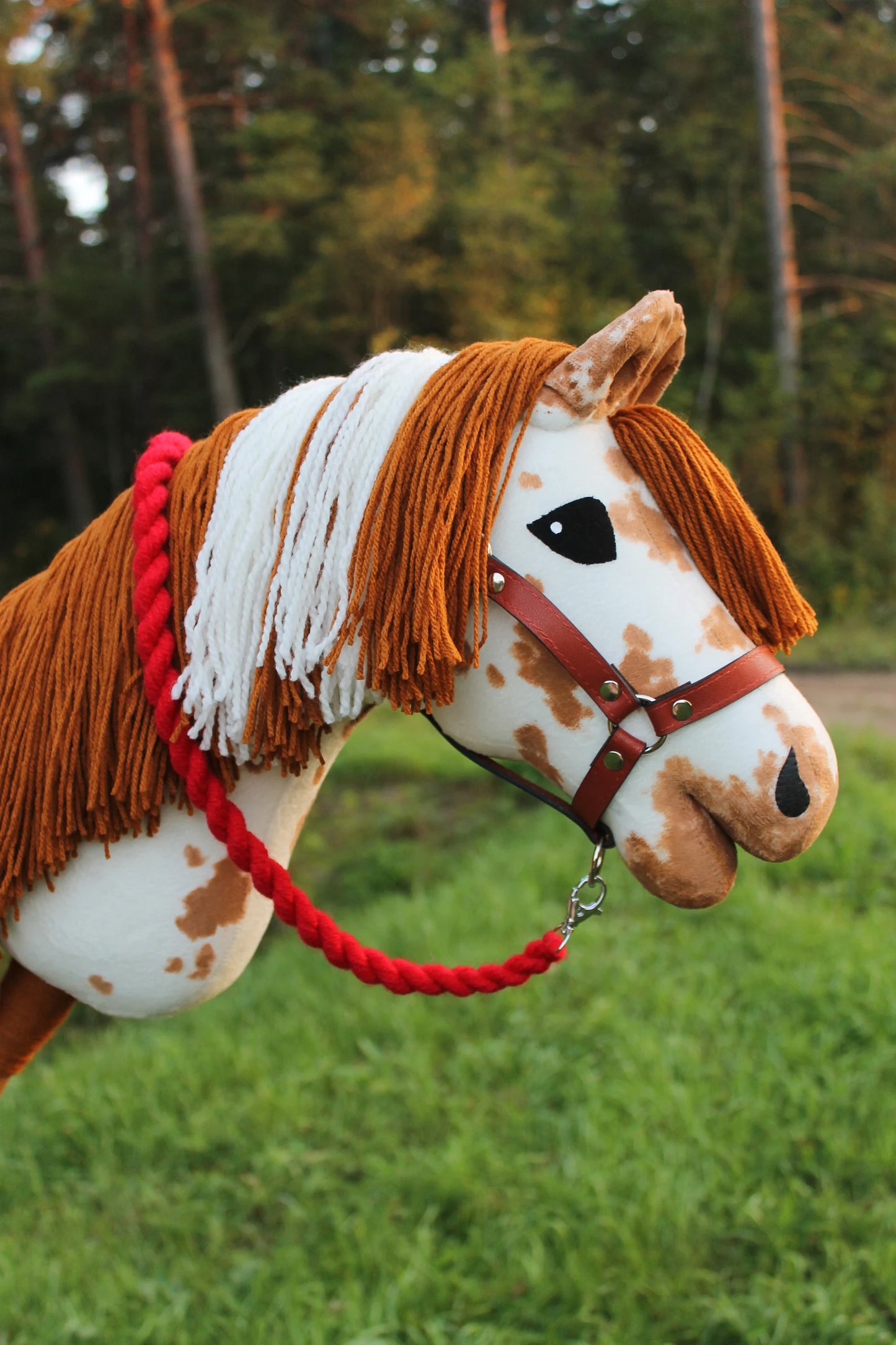Hobby horse with halter A3 Corsica