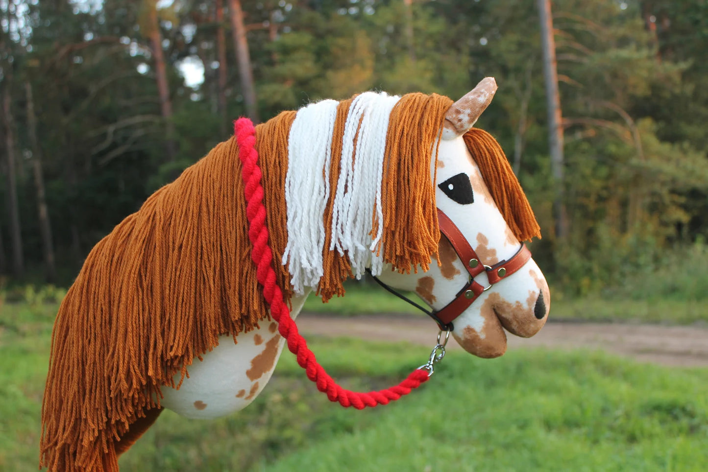Hobby horse with halter A3 Corsica