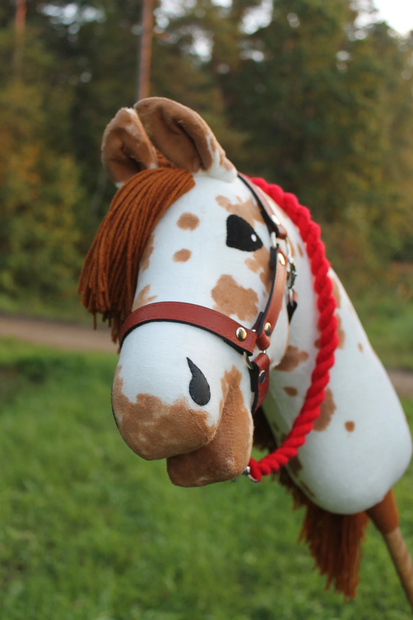 Hobby horse with halter A3 Corsica