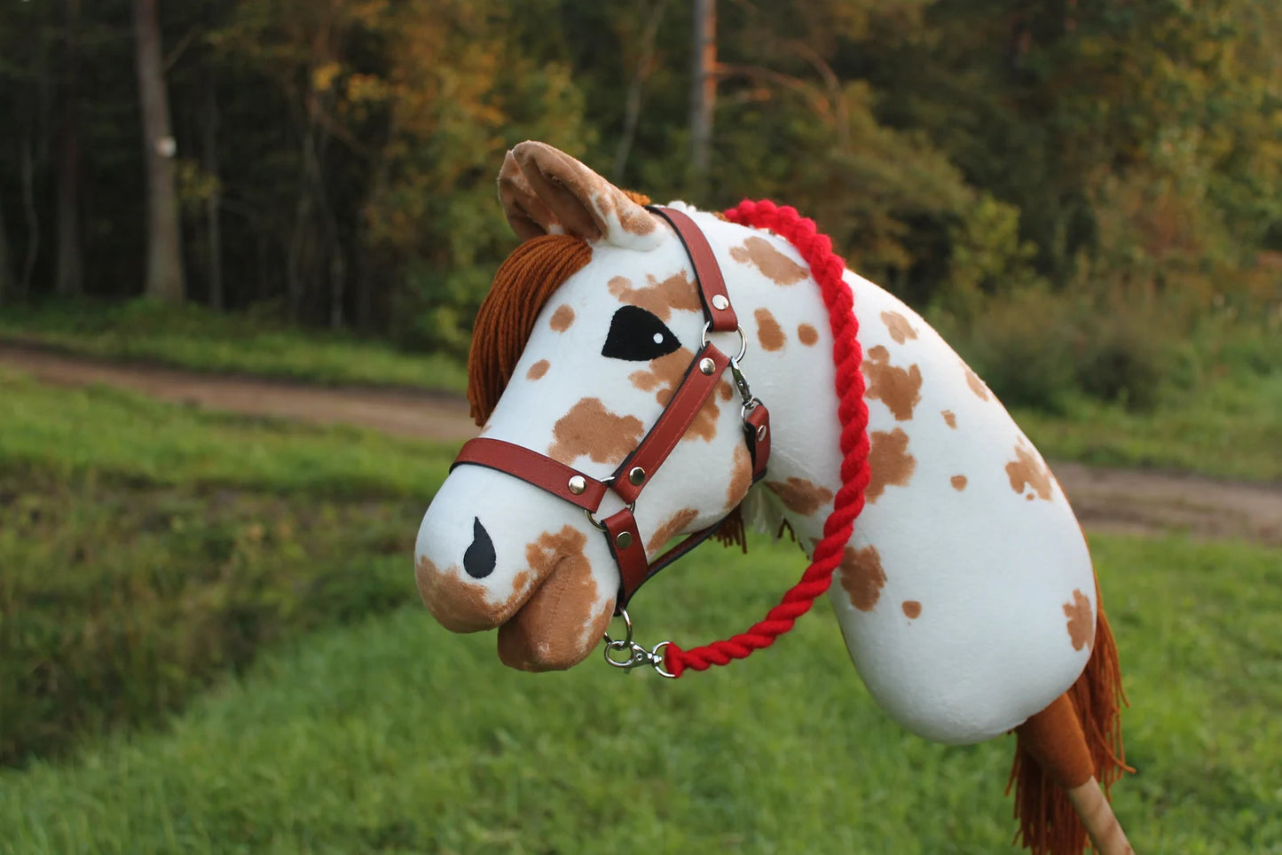 Hobby horse with halter A3 Corsica