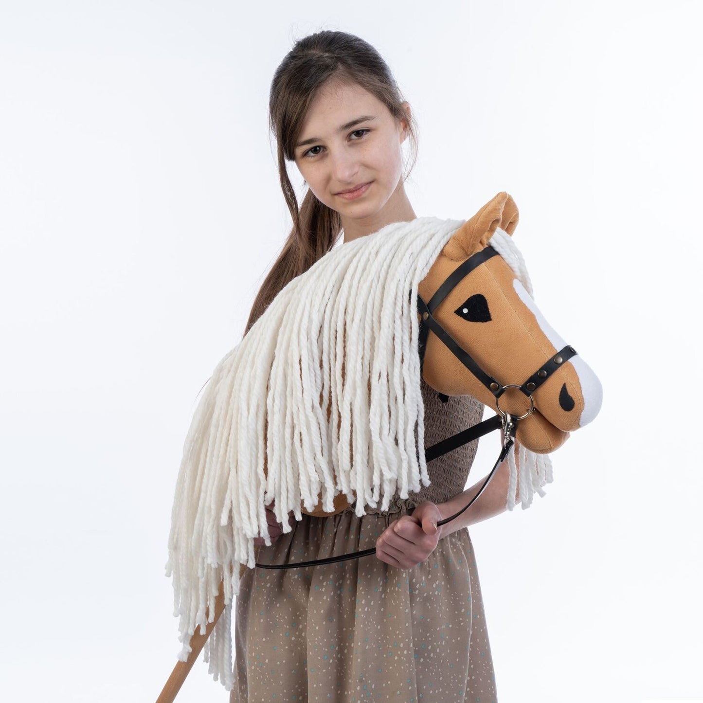 Hobbyhorse with bridle A3 Dun Princess
