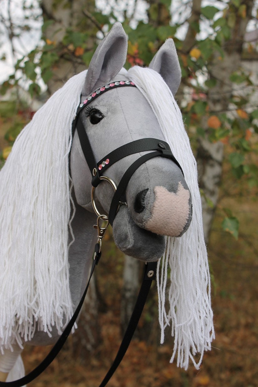 Hobbyhorse with bridle A3 Blue Roan Beauty