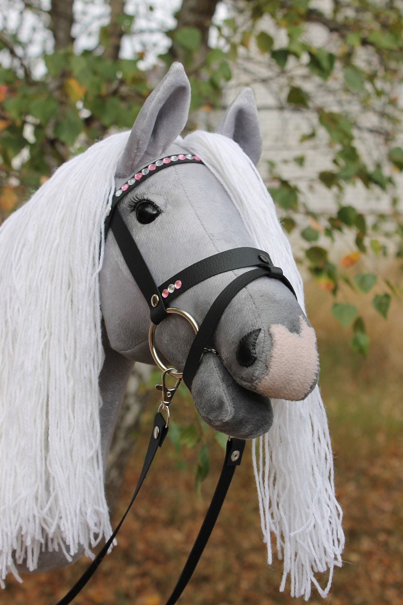 Hobbyhorse with bridle A3 Blue Roan Beauty