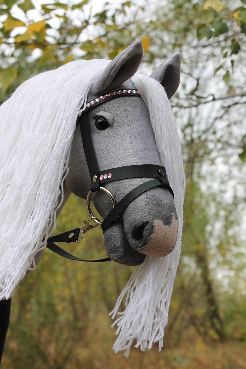 Hobbyhorse with bridle A3 Blue Roan Beauty