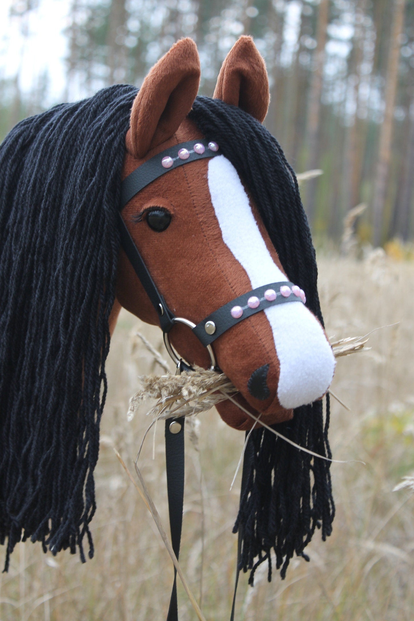 Hobby horse with bridle A3 Chestnut ENIGMA