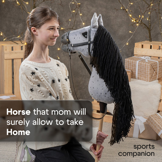 Hobbyhorse with bridle A3 Dapple Greay Fleabitten