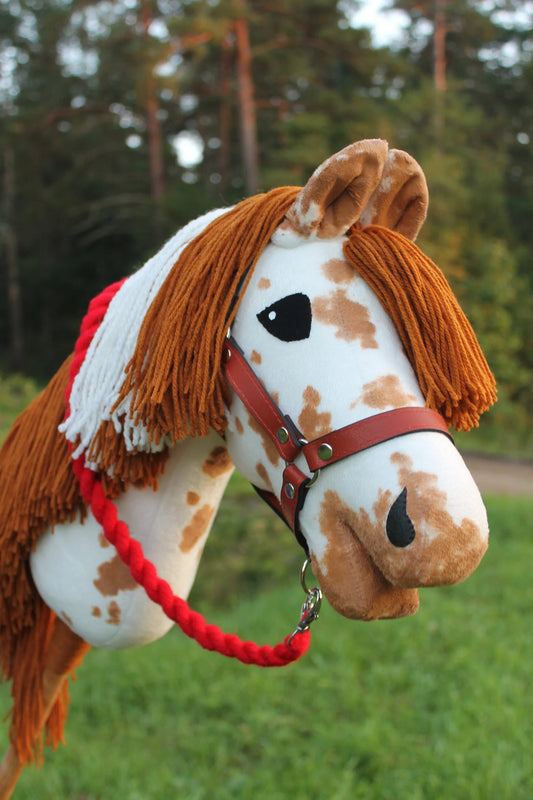 Hobby horse with halter A3 Corsica