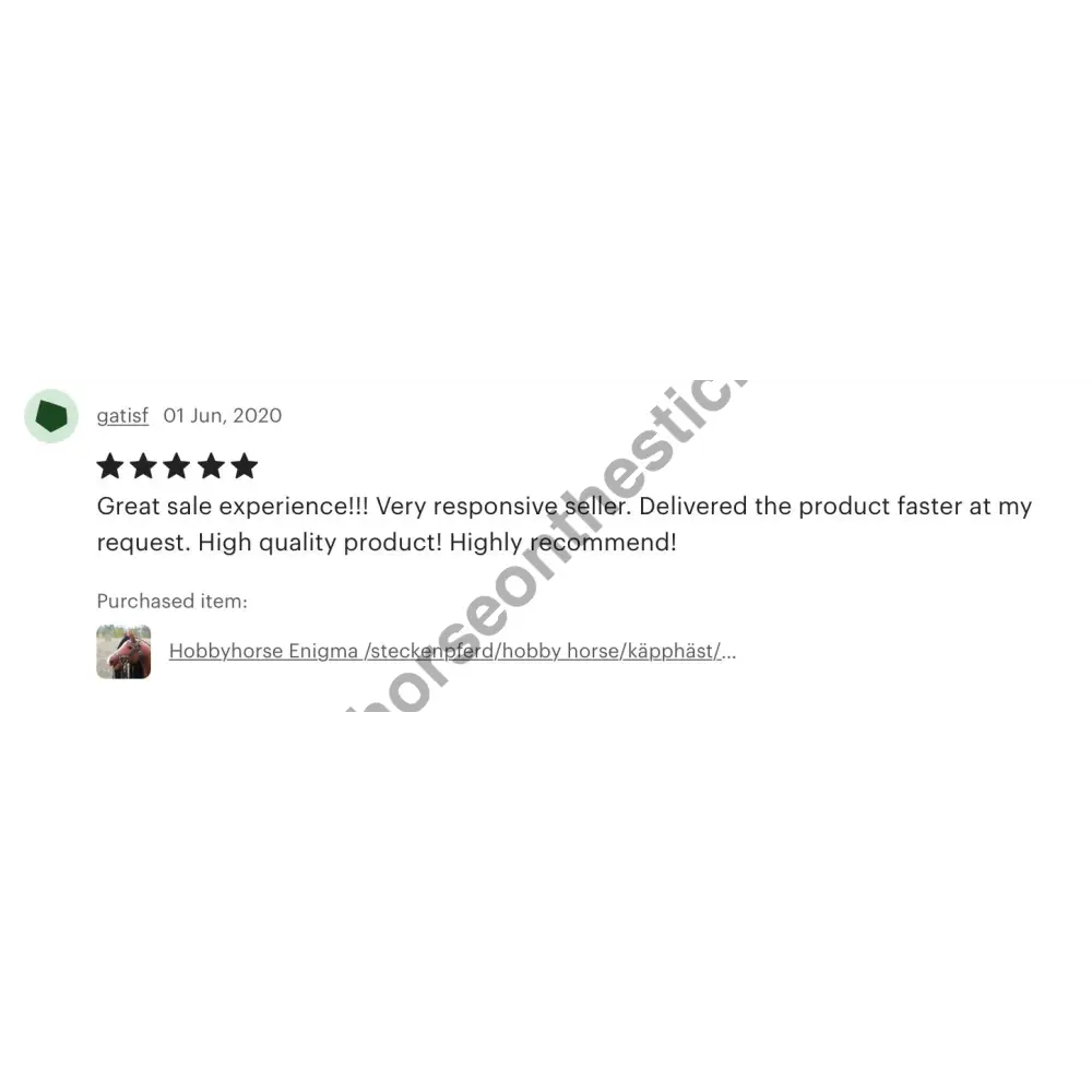 Hobby horse with bridle A3 Chestnut ENIGMA Hobbyhorses: affordable