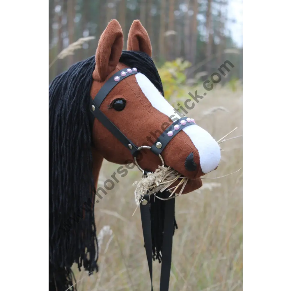 Hobby horse with bridle A3 Chestnut ENIGMA Hobbyhorses: affordable