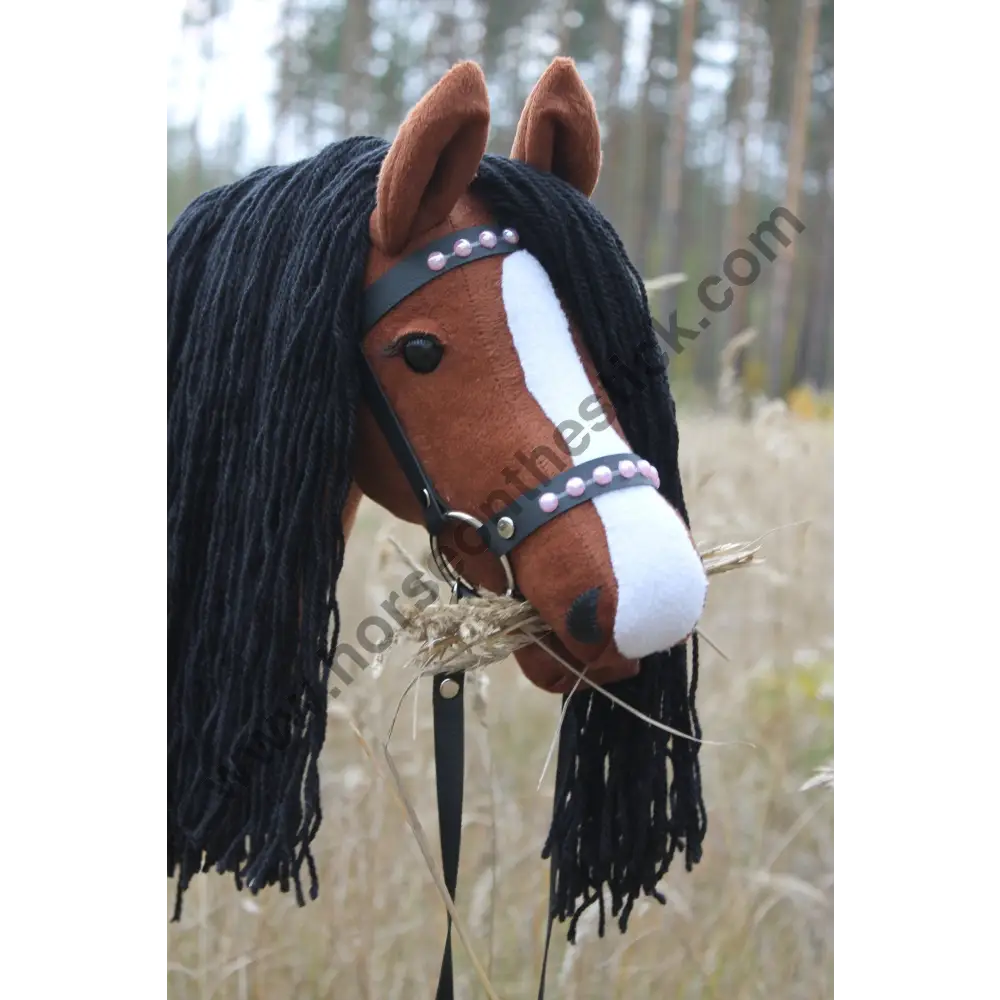 Hobby horse with bridle A3 Chestnut ENIGMA Hobbyhorses: affordable