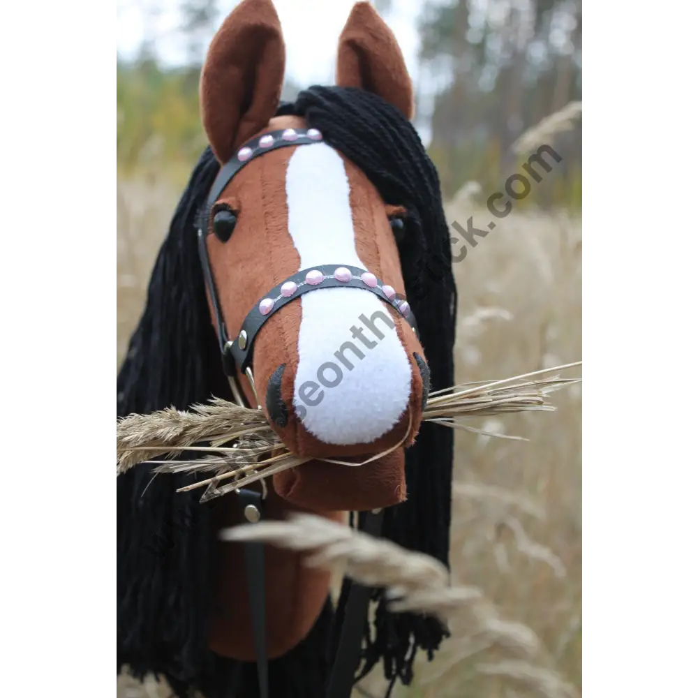 Hobby horse with bridle A3 Chestnut ENIGMA Hobbyhorses: affordable