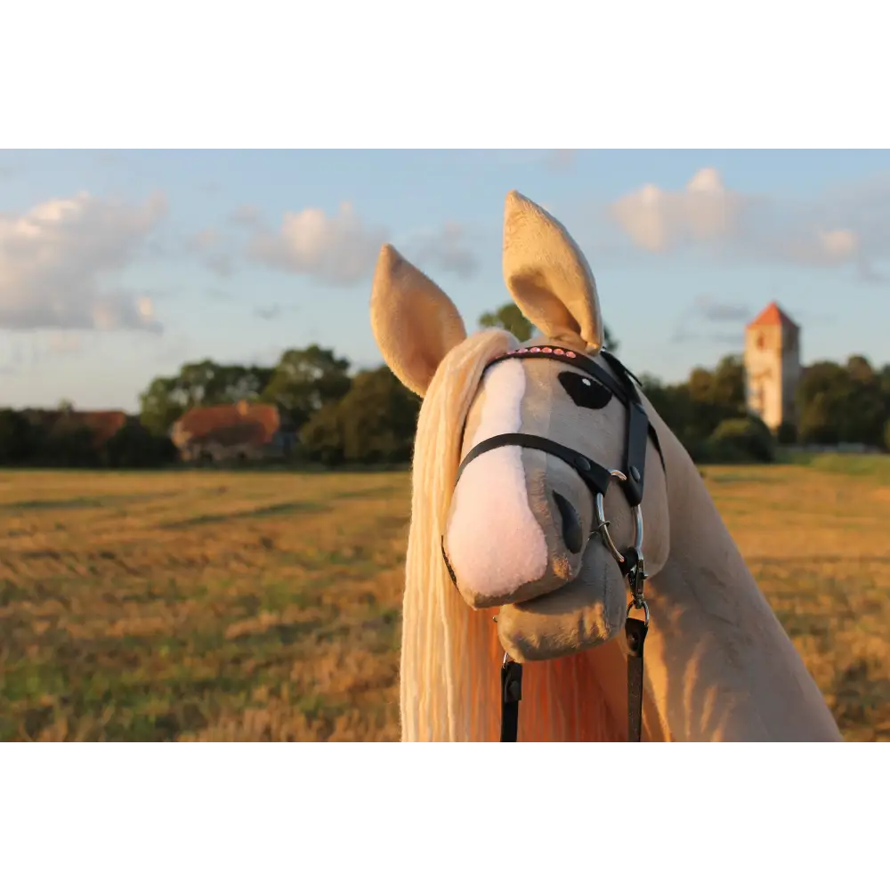 Hobby horse with bridle A3 Palomino MEDIEVAL Hobbyhorses: affordable