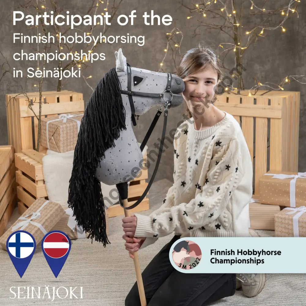 Hobbyhorse with bridle A3 Dapple Greay Fleabitten Hobbyhorses: affordable