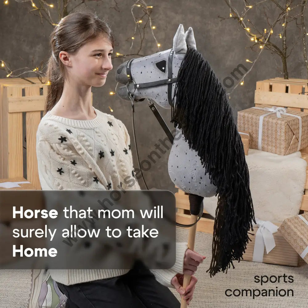 Hobbyhorse with bridle A3 Dapple Greay Fleabitten Hobbyhorses: affordable