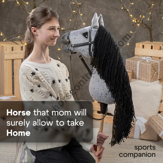 Hobbyhorse with bridle A3 Dapple Greay Fleabitten Hobbyhorses: affordable