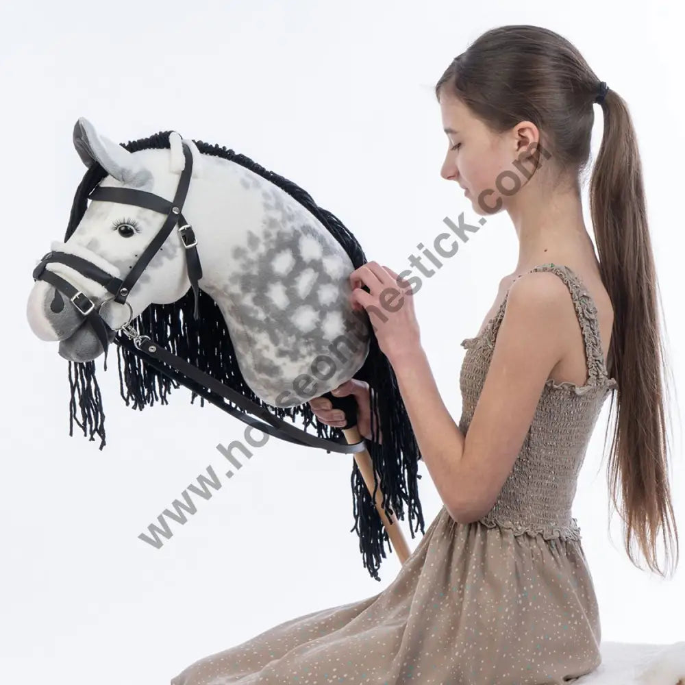 Hobbyhorse with bridle A3 Dapple grey SPRING Hobbyhorses: just landed