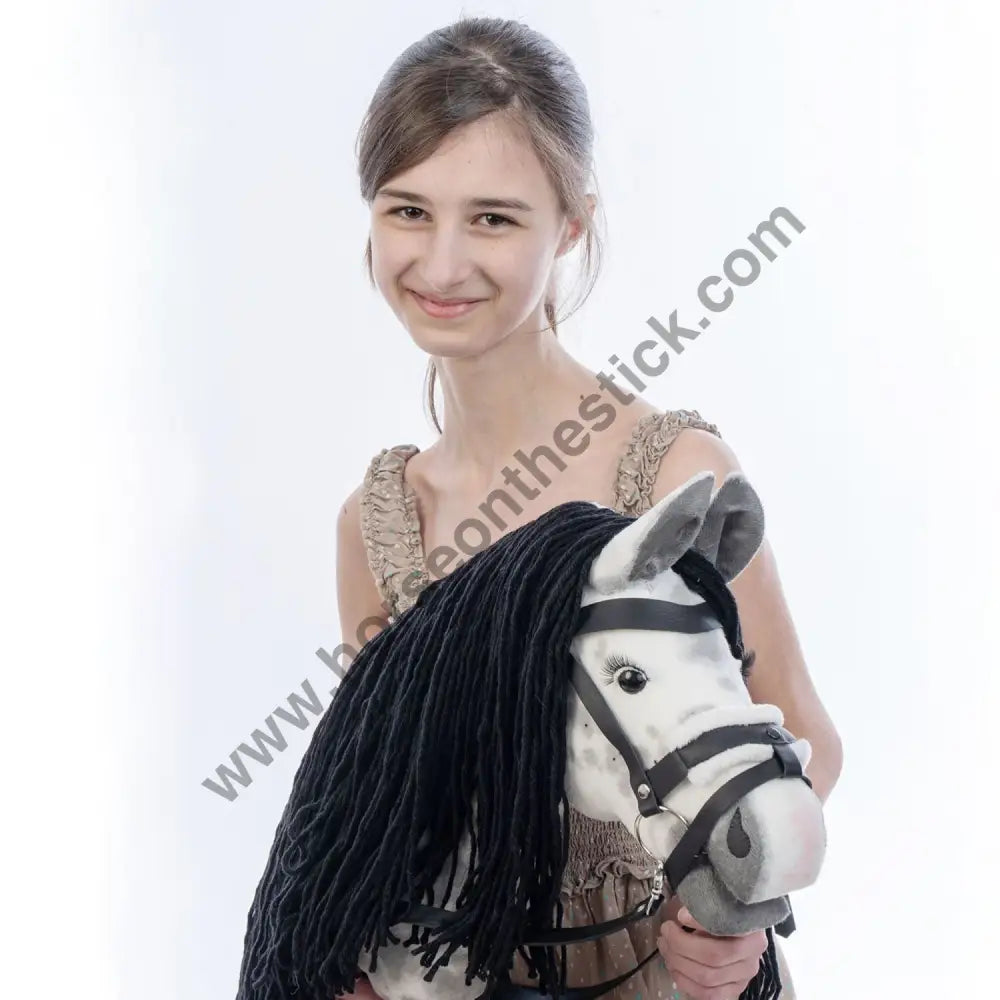 Hobbyhorse with bridle A3 Dapple grey SPRING Hobbyhorses: just landed