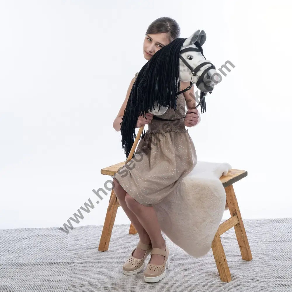 Hobbyhorse with bridle A3 Dapple grey SPRING Hobbyhorses: just landed