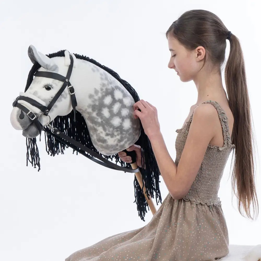 Hobbyhorse with bridle A3 Dapple grey SPRING Hobbyhorses: just landed